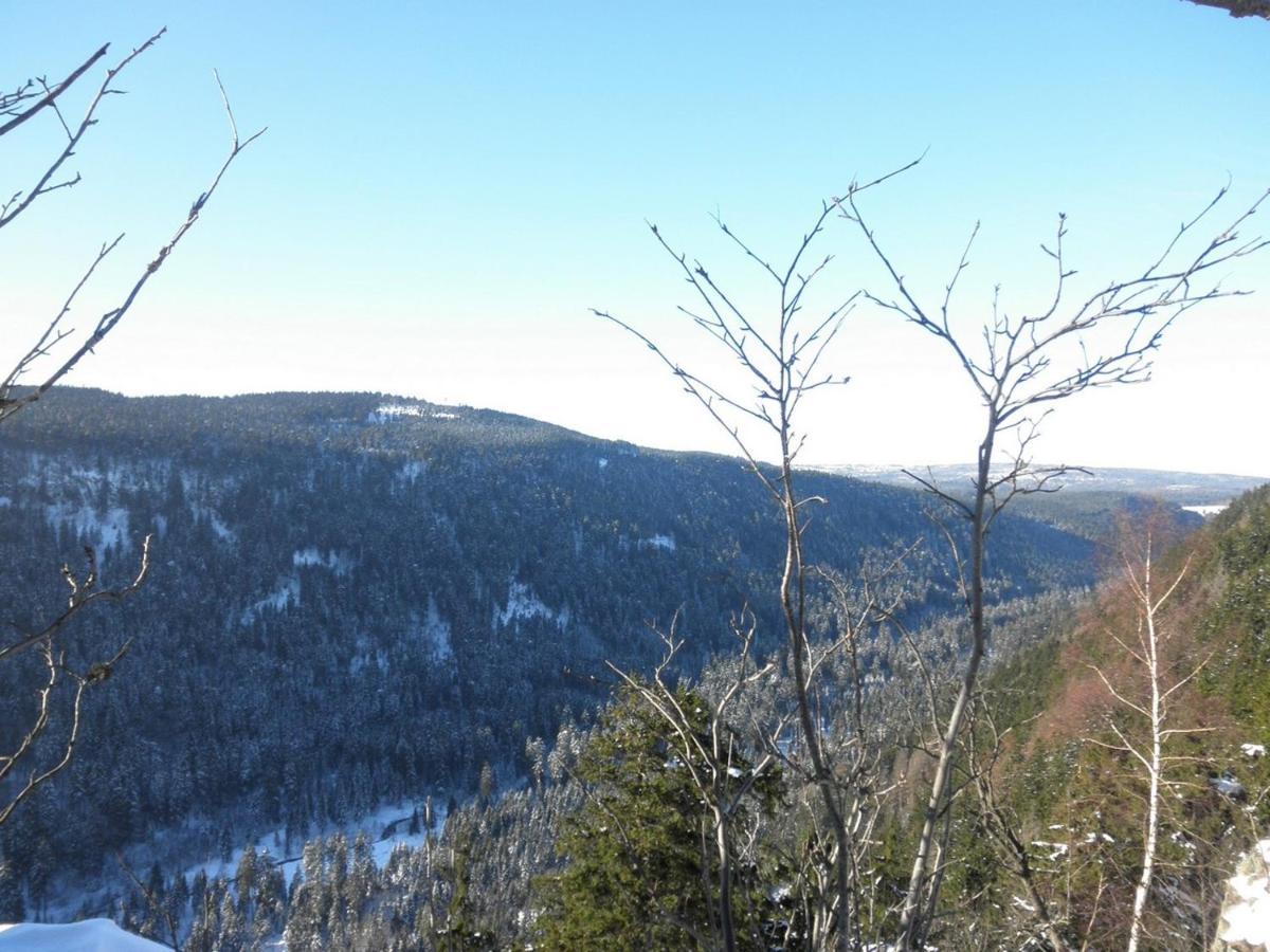 Gaestehaus Mea Vota Braunlage Dış mekan fotoğraf
