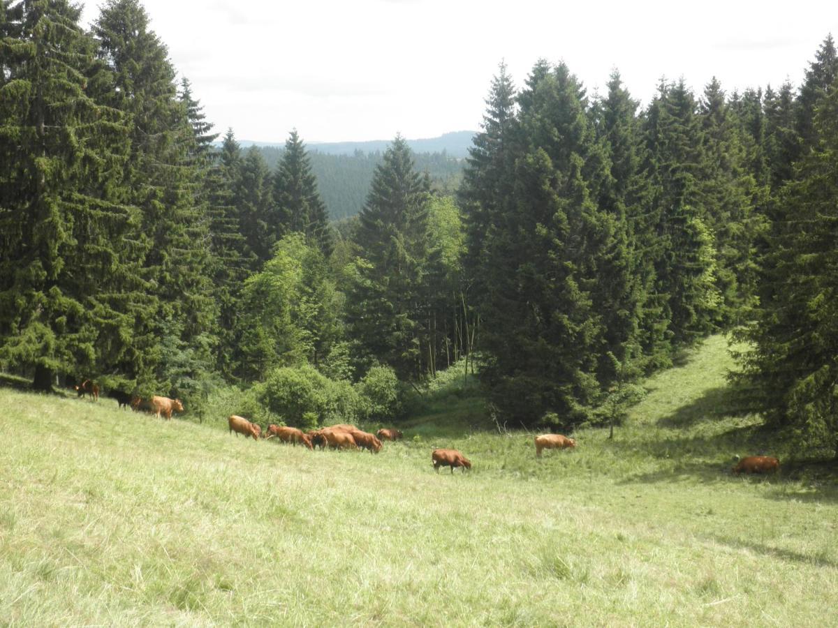 Gaestehaus Mea Vota Braunlage Dış mekan fotoğraf